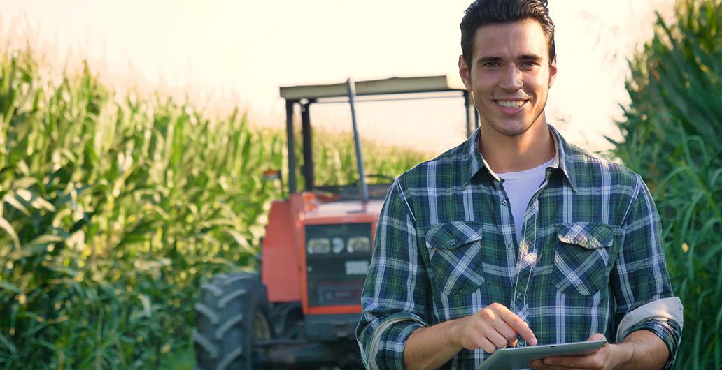 Landwirtschaftspraktikum und Englisch Programm